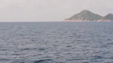 Chiang Mai tatil çiçek çiçekler orkide, renkli, insanlar. dans, çocuk, geçit.2 february2018 geçit töreni