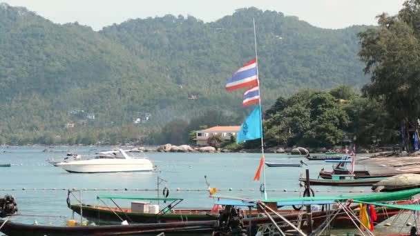 Thajsko Ostrov Tao Pier Voda Moře Kolem Ostrova Cestování — Stock video