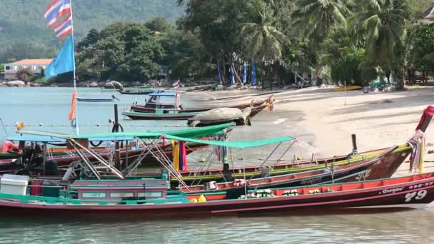 Таиланд Остров Тао Пирс Вода Остров Путешествия Море — стоковое видео