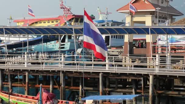 Thailand Pulau Tao Dermaga Air Pulau Perjalanan Laut — Stok Video