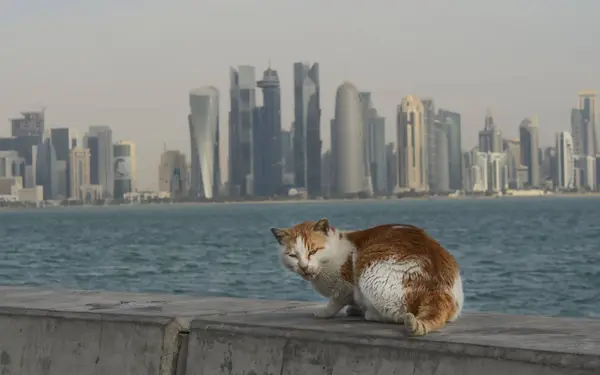 Katar, doha, şehir, modern, Arapça, mimari