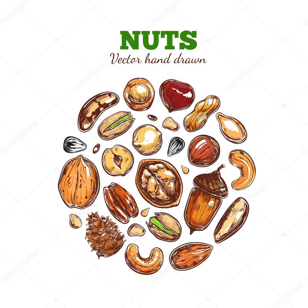 Nuts and seeds collection.