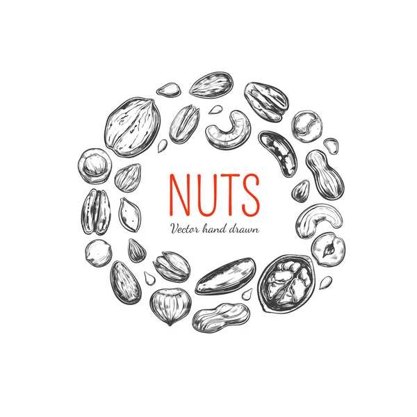Ořechy a semena rám — Stockový vektor