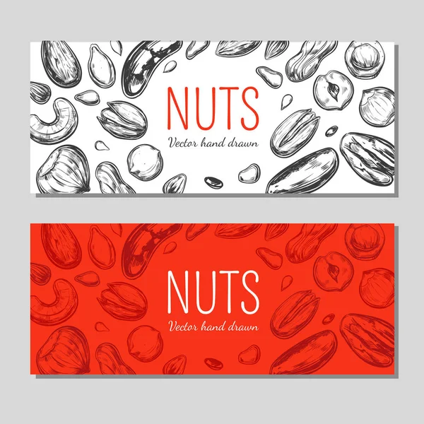 Bannières de noix et graines . — Image vectorielle