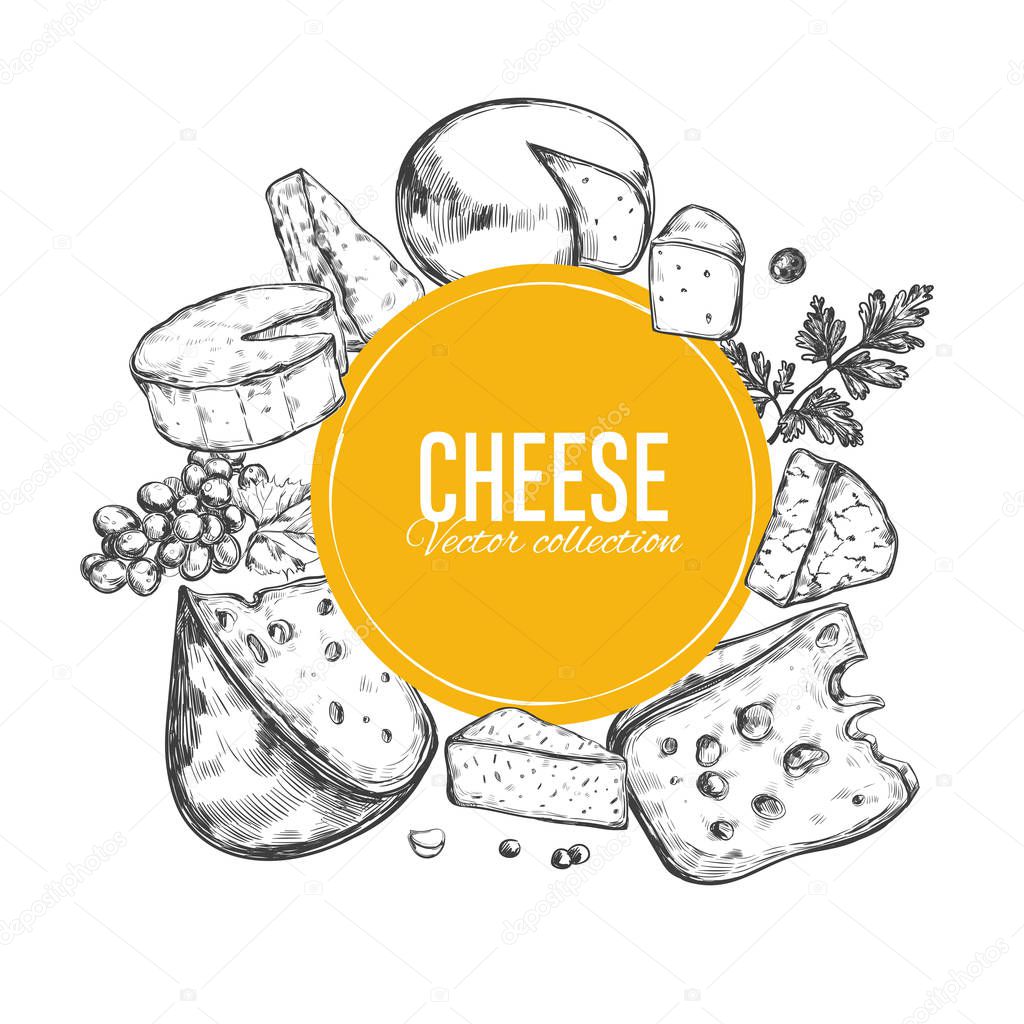 Cheese collection. Vector 3