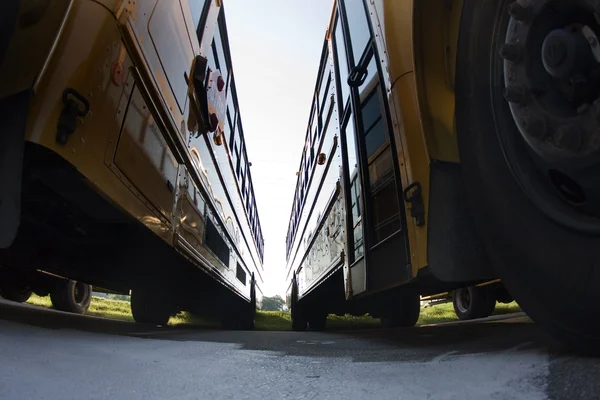 Autocarros escolares estacionados — Fotografia de Stock