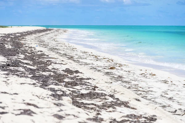 Spiaggia caraibica tranquilla — Foto Stock