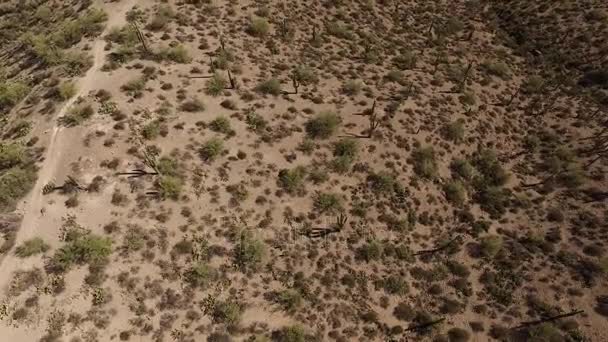 Vistas aéreas del suroeste de Estados Unidos — Vídeo de stock