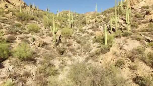 Vistas aéreas del suroeste de Estados Unidos — Vídeo de stock