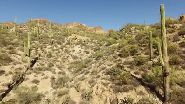 Vistas aéreas del suroeste de Estados Unidos — Vídeo de stock