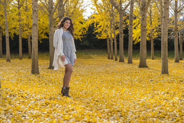 Morena modelo en otoño follaje — Foto de Stock