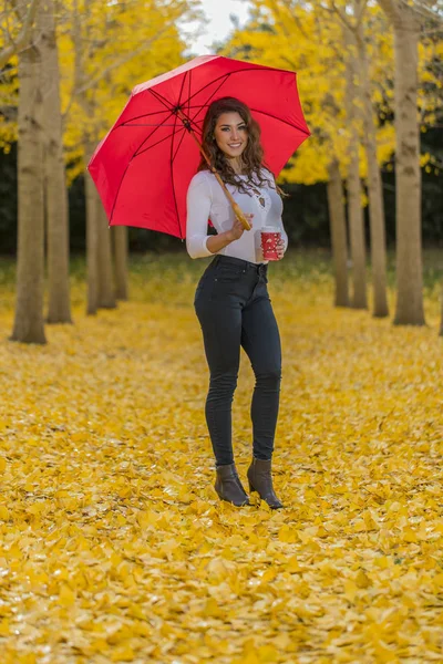Morena modelo en otoño follaje — Foto de Stock