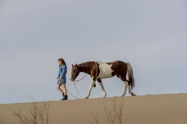 Joven jinete femenino y su caballo — Foto de Stock