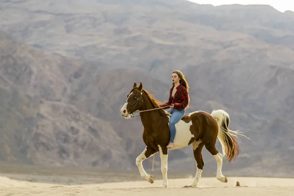 年轻的女骑手和她的马 — 图库照片