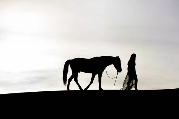 Fiatal női lovas és a ló — Stock Fotó