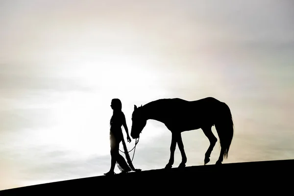 Fiatal női lovas és a ló — Stock Fotó