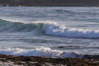 Dalgalar California sahil şeridi üzerinde