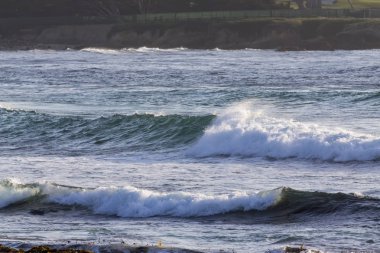 Dalgalar California sahil şeridi üzerinde