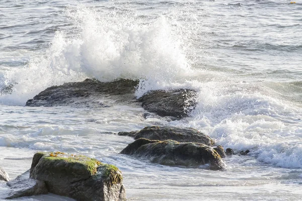 Wellen an der kalifornischen Küste — Stockfoto