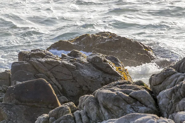 Wellen an der kalifornischen Küste — Stockfoto