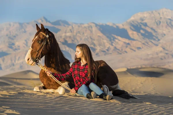 Young Female Rider And Her Horse — Stock Photo, Image