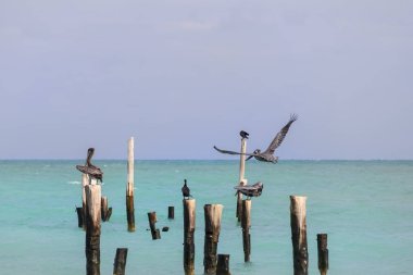 Sakin Caribbean Beach