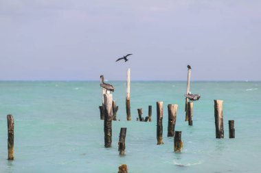 Sakin Caribbean Beach