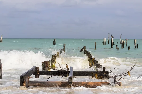 Tranquil Caribbean Beach — Stock Photo, Image