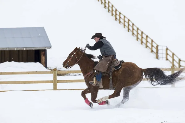 Ковбои пасут лошадей в снегу — стоковое фото