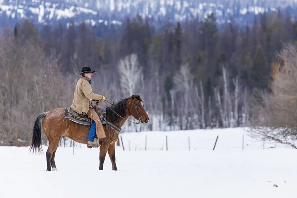 Kowboje pasterski koni w śniegu — Zdjęcie stockowe
