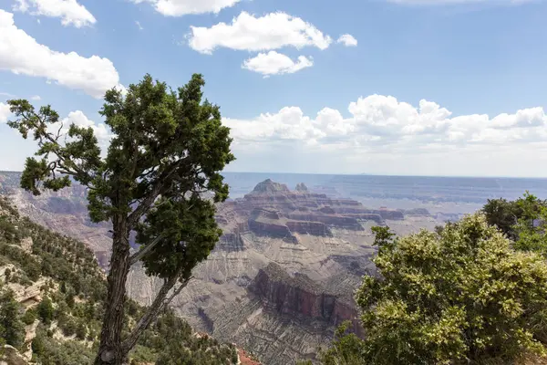 Büyük Kanyon Kuzey RIM'in manzaralarına