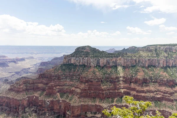 Büyük Kanyon Kuzey RIM'in manzaralarına