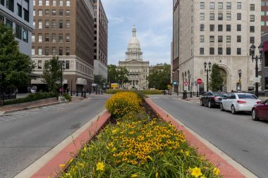 Michigan Eyaleti Meclis Binası
