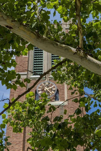 Torre Beaumont en la Universidad Estatal de Michigan —  Fotos de Stock