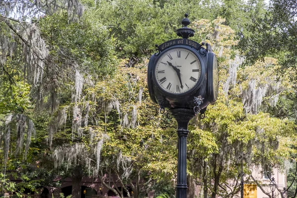 College von Charleston — Stockfoto