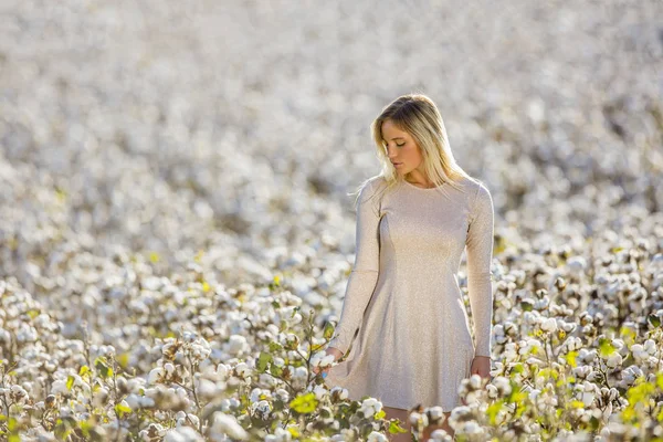 Modello biondo in posa all'aperto in un campo di cotone — Foto Stock