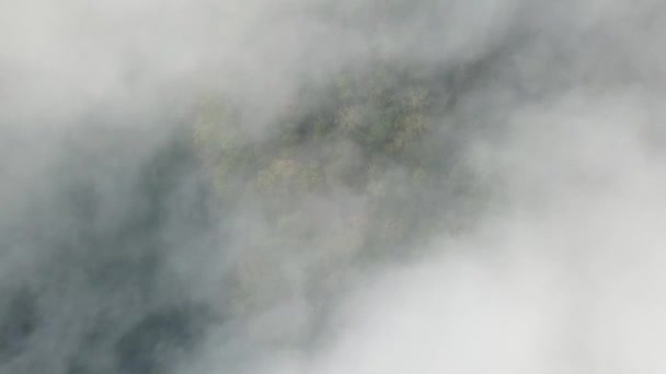 Дрон Пролетающий Сквозь Утренний Туман — стоковое видео