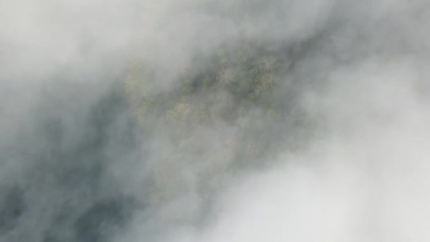 Un drone volant à travers le brouillard tôt le matin 
