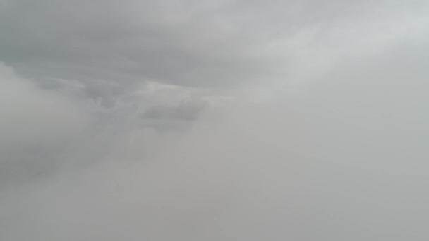 Dron Volando Través Niebla Mañana — Vídeo de stock