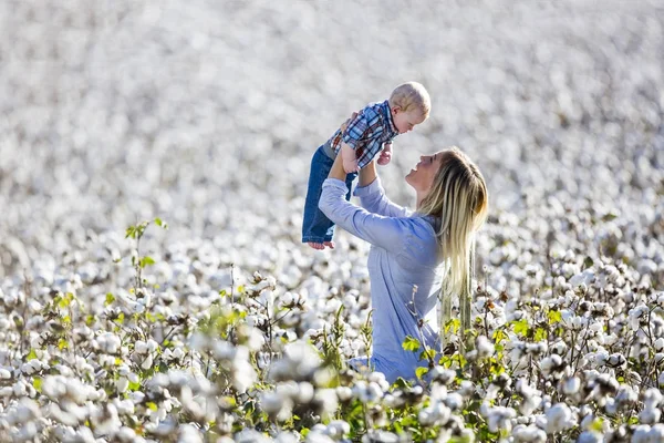 Moeder en zoon In een veld van katoen — Stockfoto