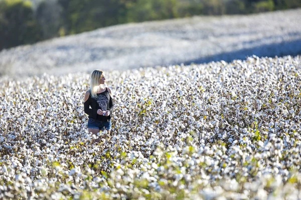 Blond modell poserar utomhus i ett bomullsfält — Stockfoto