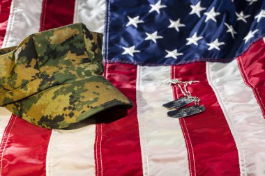 Askeri kapak ve köpek Etiketler Amerikan bayrağı