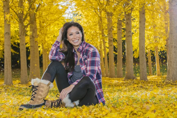 Hermosa coreana morena modelo posando en un campo de hoja amarilla — Foto de Stock