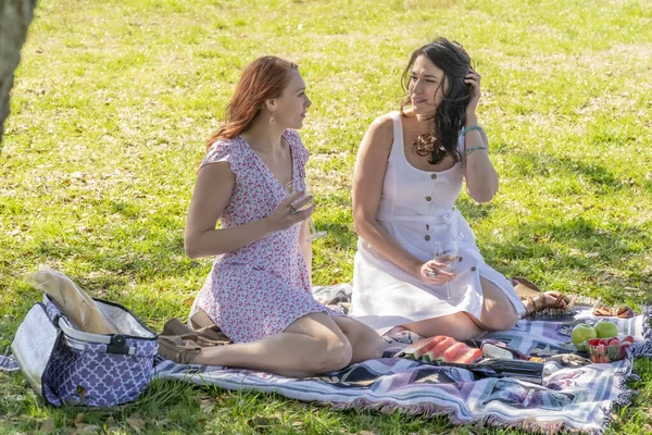 Two Gorgeous Models Enjoying Each Others Company Fall Day Picnic — Stock Photo, Image