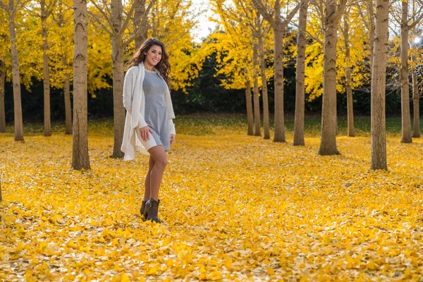 Piękna Brunetka Model Żółtymi Liśćmi Jesieni — Zdjęcie stockowe