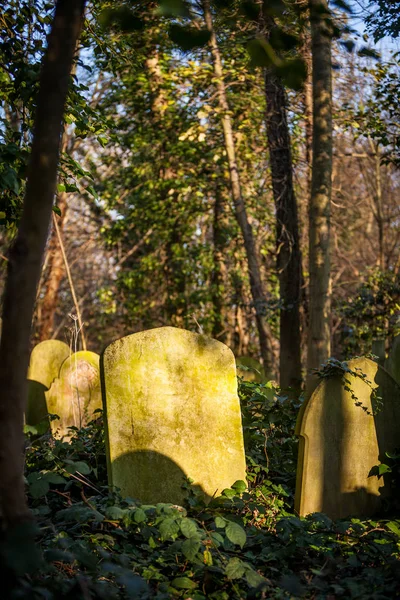 Cemetery: Old grave stones taken over by weeds