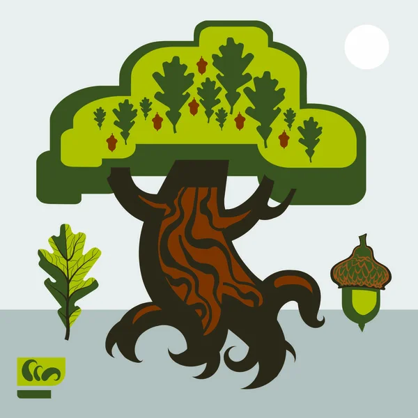 Illustration du chêne fée avec feuilles et acajous — Image vectorielle