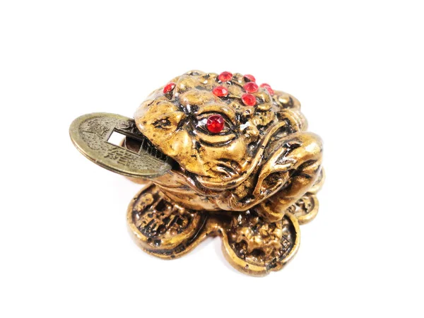 Feng Shui Frog. A symbol of luck in financial well-being. A frog holds a coin. — Stock Photo, Image