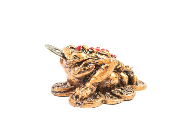 Feng Shui Frog. Een symbool van geluk in financiële welzijn. Een kikker houdt een munt. — Stockfoto