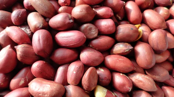 Häufchen Erdnüsse mit Schale. eine große Menge unbehandelter Erdnüsse. — Stockfoto